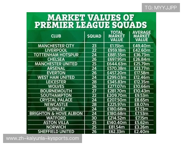 英超各球队阵容分析与球员分布